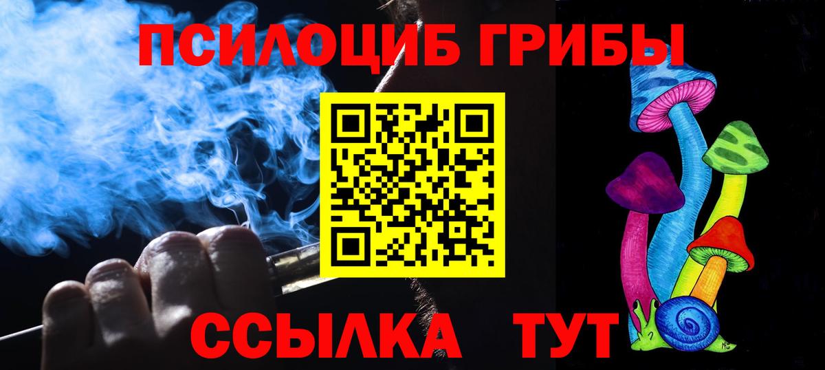 Серпухов  Псилоцибиновые грибы Psilocybine cubensis  Вход с VPN 